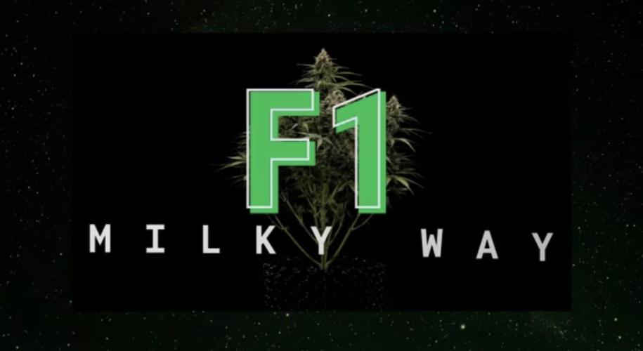 Milky Way F1#RQS. Week 2