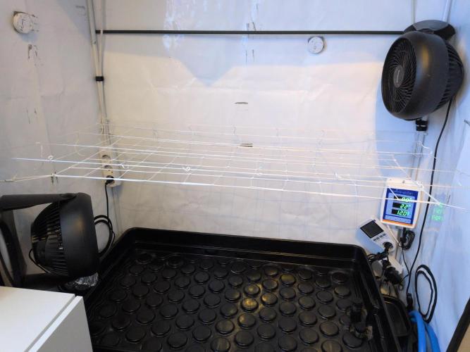 Winter Wonderland 2025, 2x4, 8 clones. Week 11 - 7.1 Nets installed