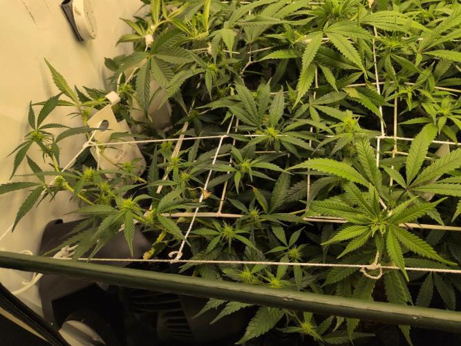 Winter Wonderland. Week 13 - 21.1 | F12