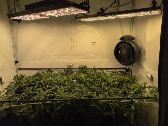 Winter Wonderland. Week 13 - 21.1 | F12