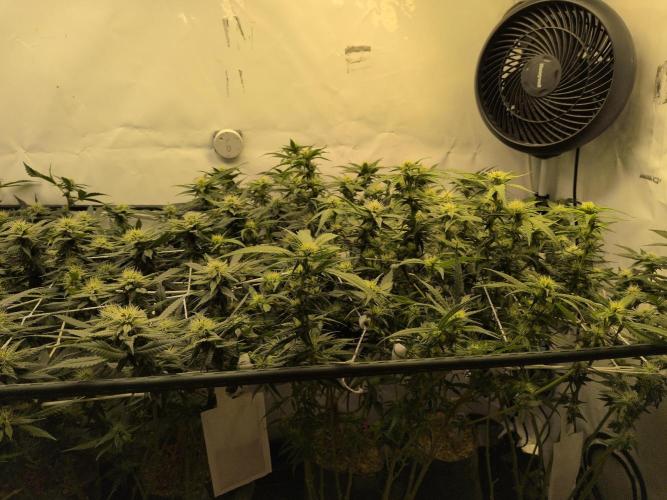 Winter Wonderland. Week 15 - 3.2 | F25