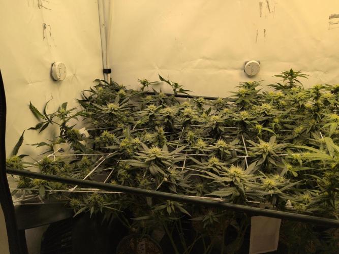 Winter Wonderland. Week 15 - 3.2 | F25