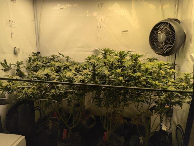 Winter Wonderland. Week 16 - 10.2 | F32