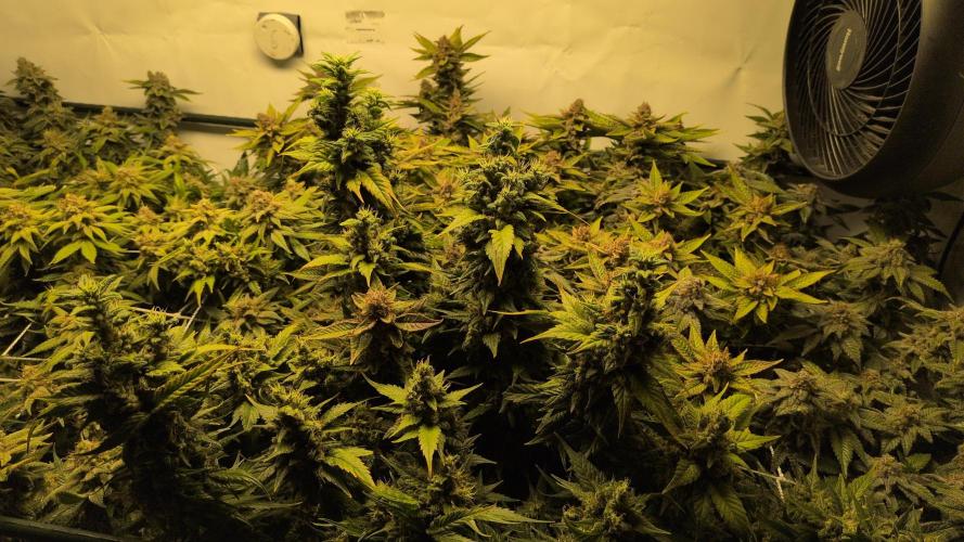 Winter Wonderland. Week 21 - 19.3 F69