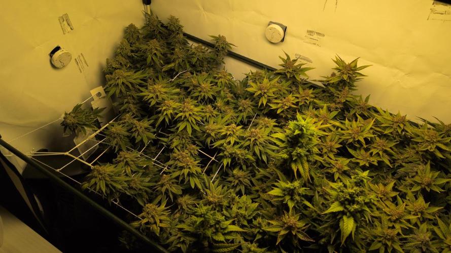 Winter Wonderland. Week 21 - 19.3 F69