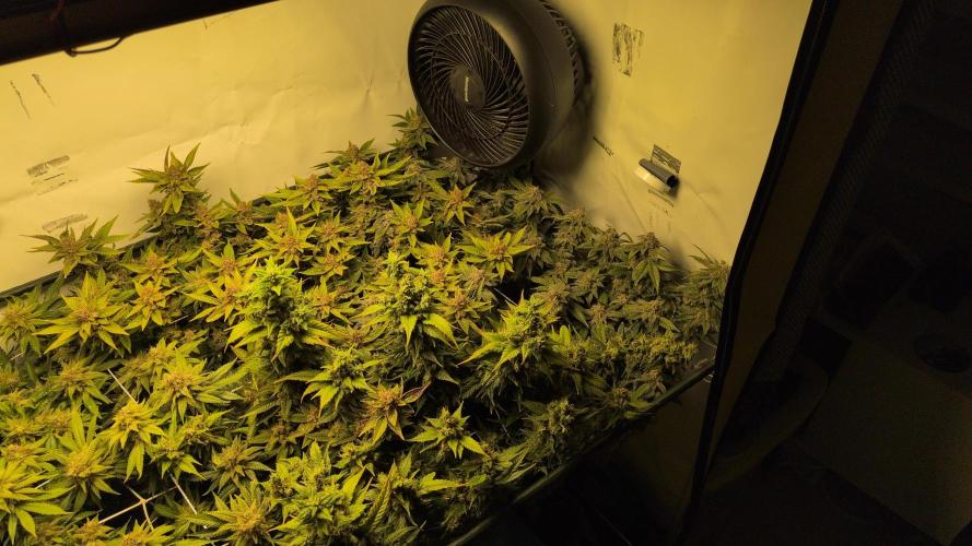Winter Wonderland. Week 21 - 19.3 F69
