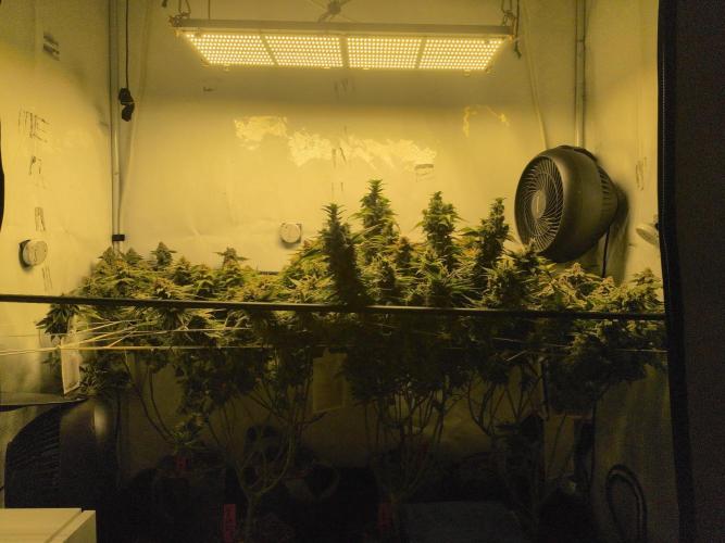 Winter Wonderland. Week 21 - 19.3 F69