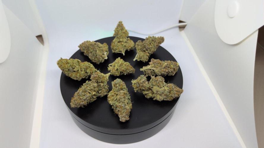 Winter Wonderland. Week 26 - California Octane #10