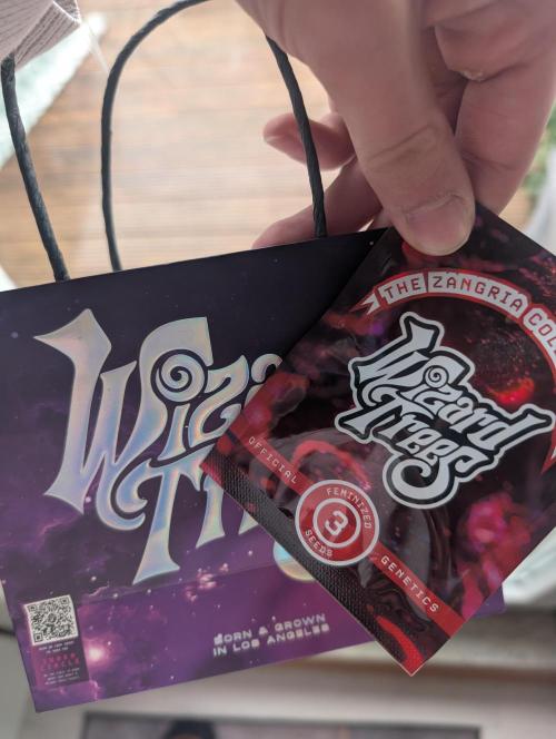 First US Premium try. Week 0