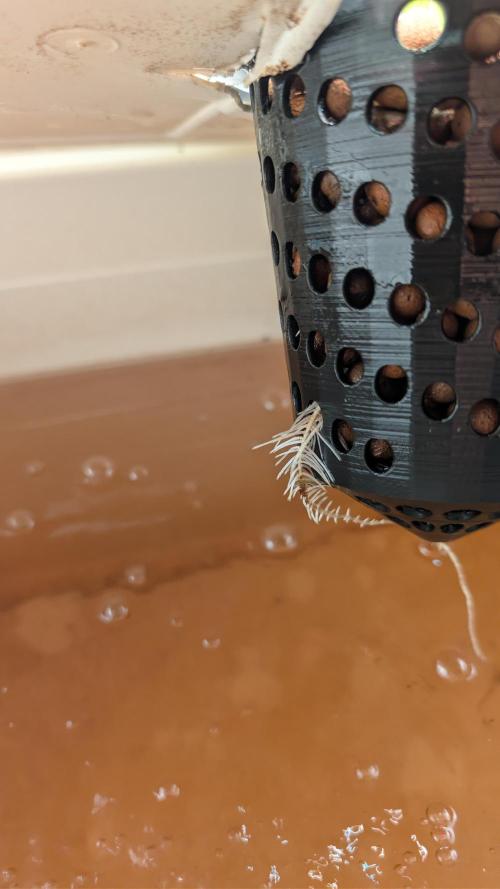 DWC Colorado. Week 2
