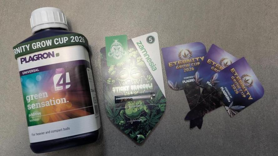 Eternity Grow Cup  Sticky Broccoli Auto. Week 0