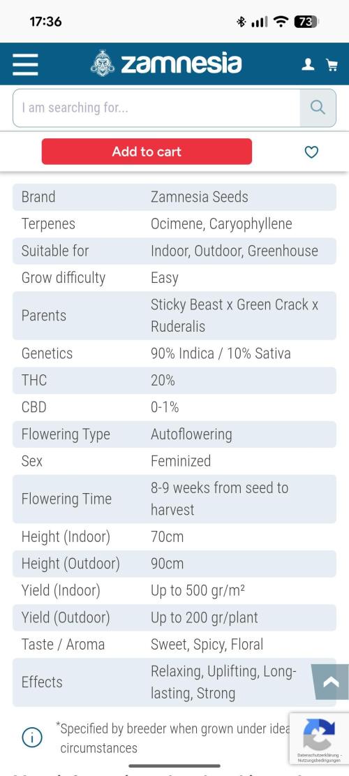 Eternity Grow Cup  Sticky Broccoli Auto. Week 0