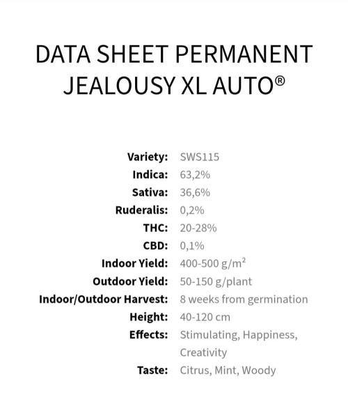 Permanent Jealousy XL Auto Sweet Seeds. Week 0