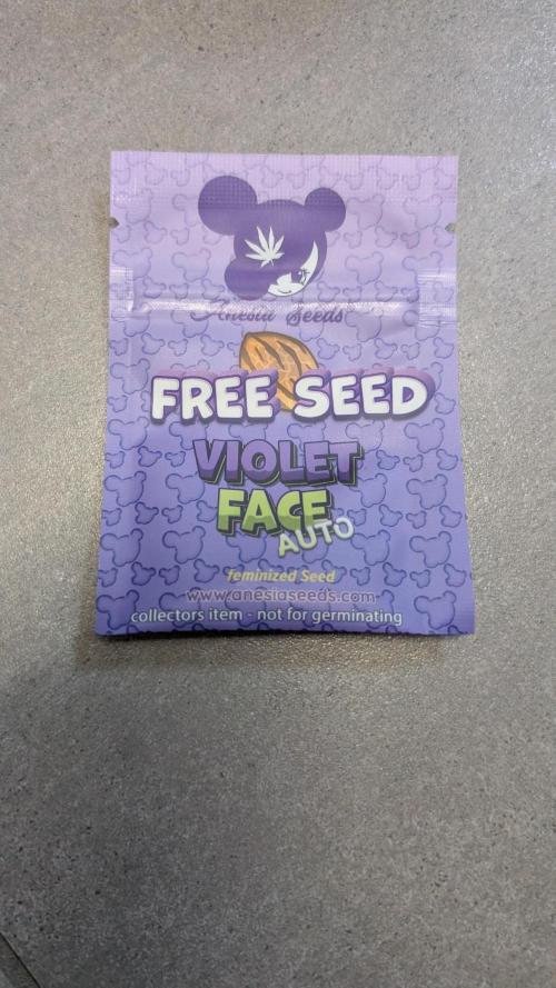 Violet Face Auto Anesia Seeds. Week 0