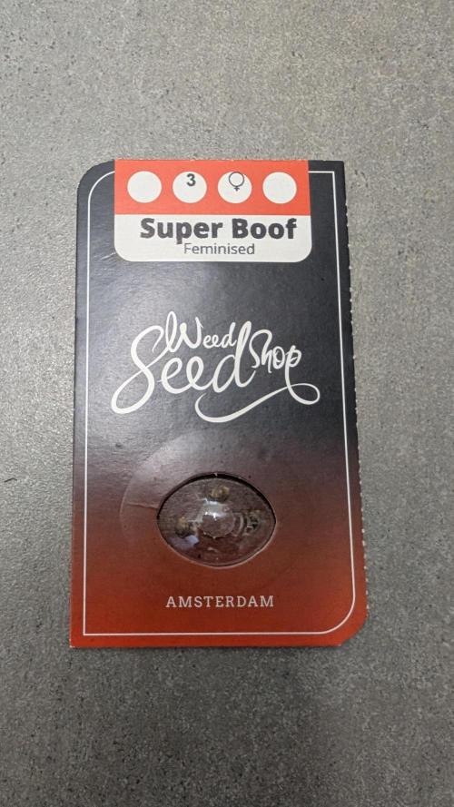 Super Boof Weed Seed Shop. Week 0