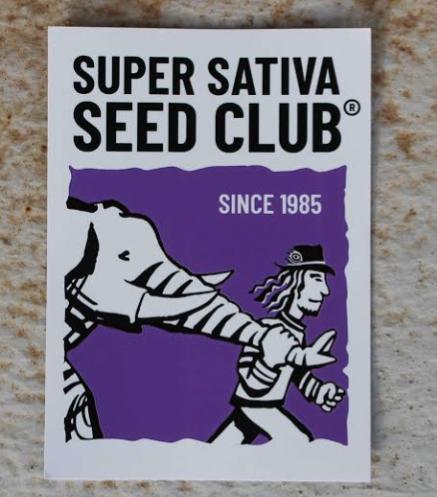 The Gassy One Super Sativa Seed Club. Week 0