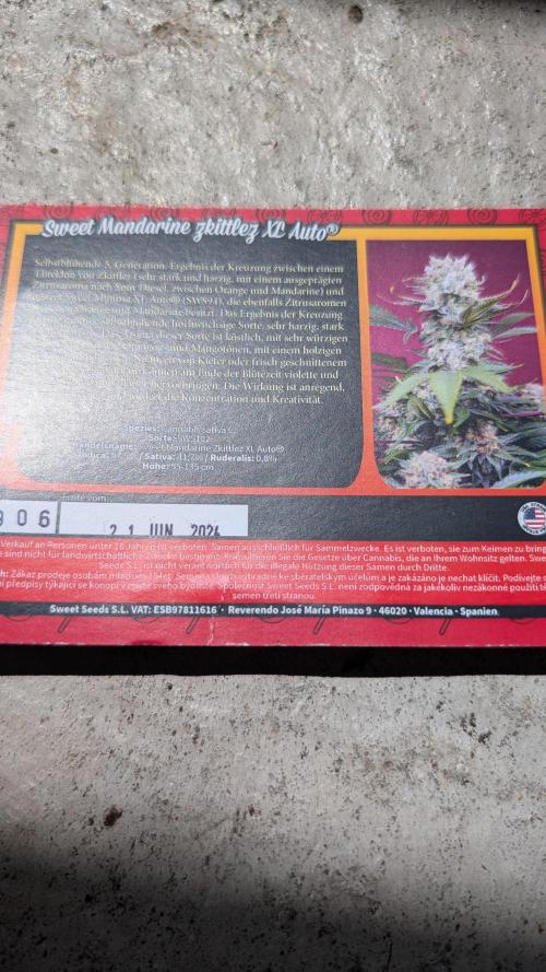 Sweet Mandarine Zkittlez Auto. Week 0