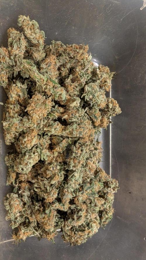 Super Boof Weed Seed Shop. Week 18
