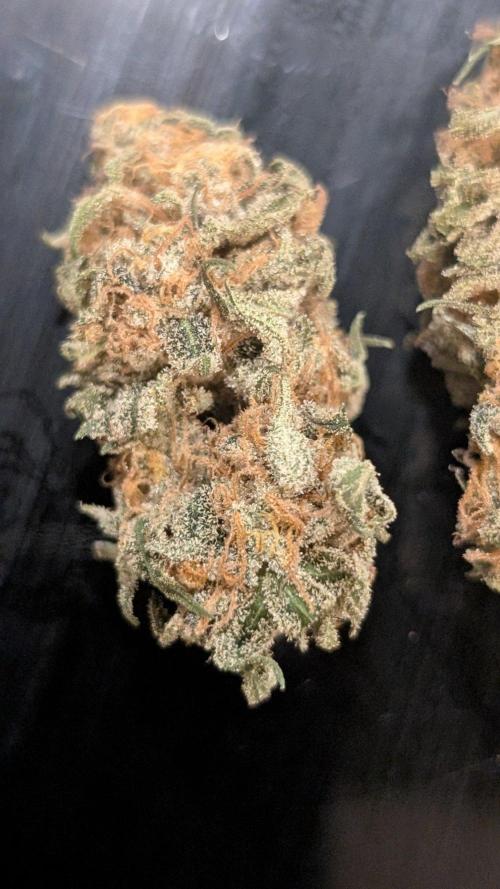 Super Boof Weed Seed Shop. Week 18