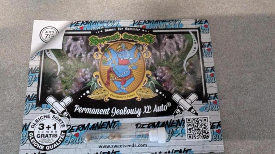 Permanent Jealousy XL Auto Sweet Seeds. Week 0