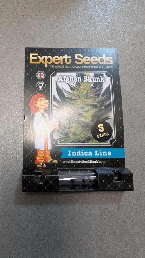 Afgahn Skunk Expert Seeds. Week 0