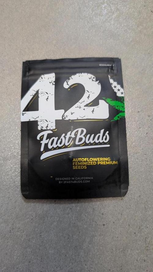 Purple Lemonade Auto Fast Buds Outdoor. Week 0