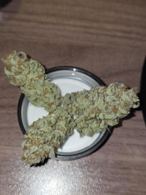 💘🍦 Pink Gelato. Week 14