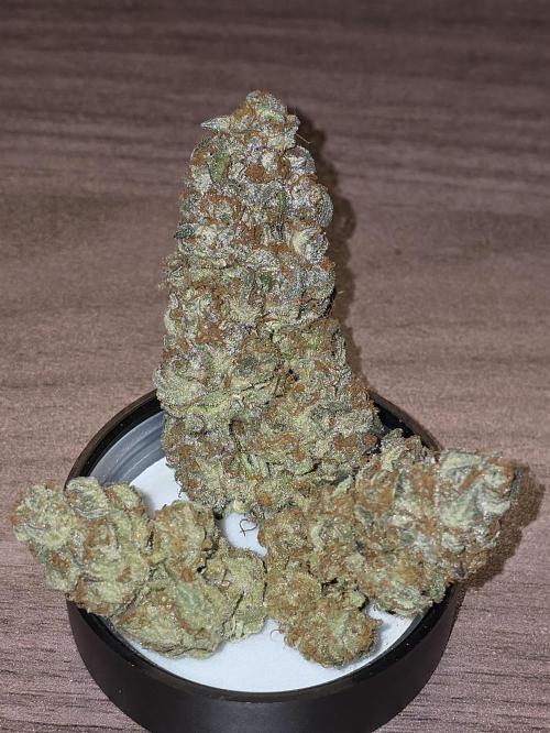 💘🍦 Pink Gelato. Week 14