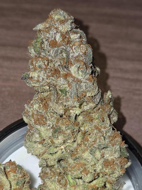 💘🍦 Pink Gelato. Week 14