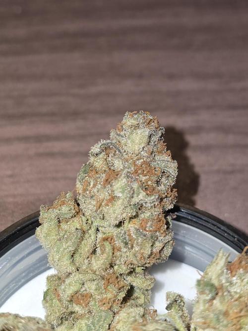 💘🍦 Pink Gelato. Week 14