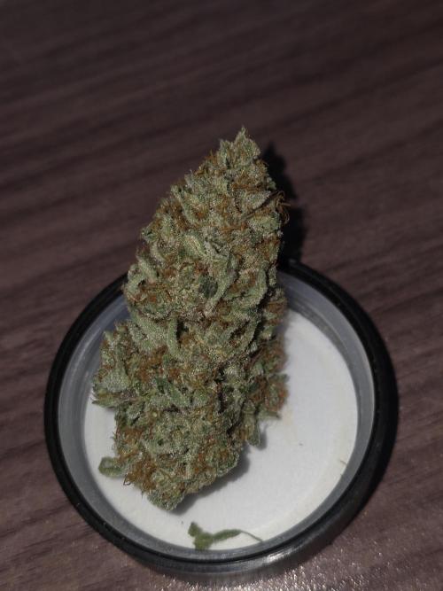 🍦🐰 Ice Cream Haze. Week 15