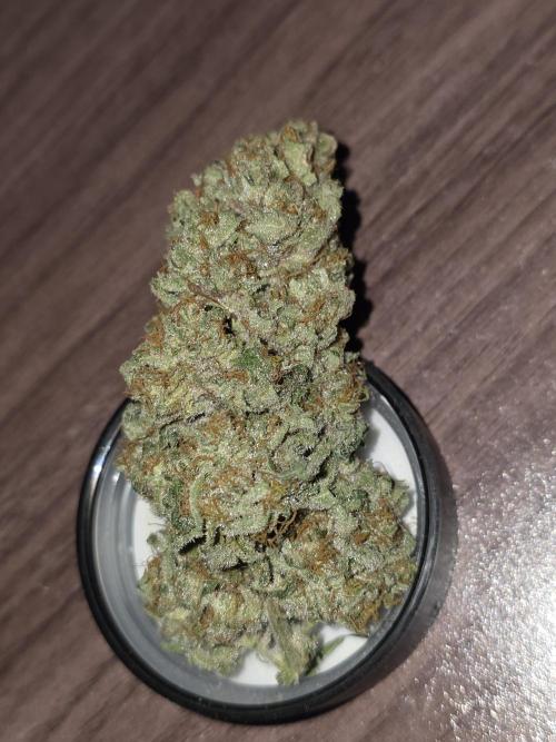 🍦🐰 Ice Cream Haze. Week 15