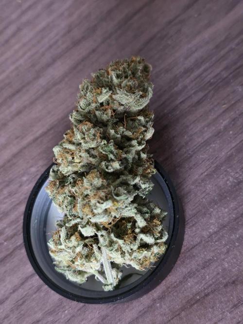 🍦🐰 Ice Cream Haze. Week 15