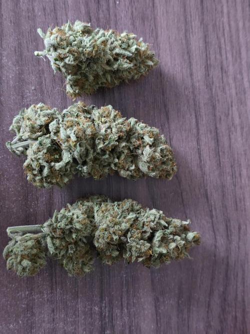 🍦🐰 Ice Cream Haze. Week 15