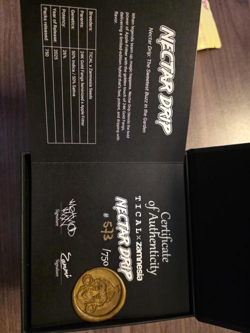 Nectar Drip 🐝🍯. Week 0