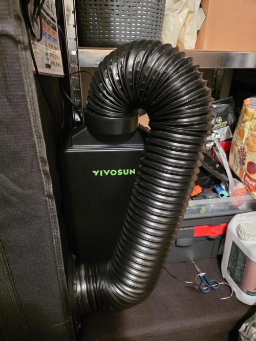 Omakase 🍣. Week 2