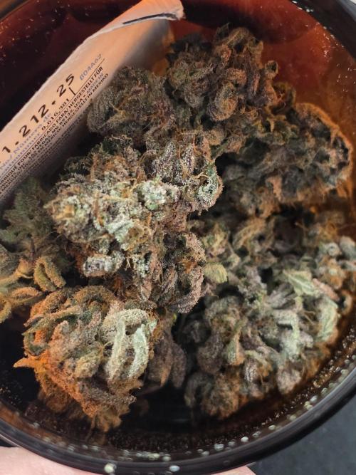 White Truffle 🍄‍ aka Candy Truffel. Week 16