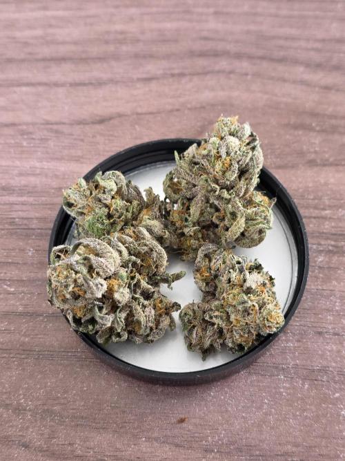 White Truffle 🍄‍ aka Candy Truffel. Week 16