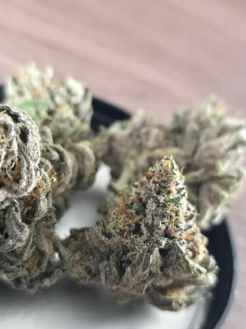 White Truffle 🍄‍ aka Candy Truffel. Week 16