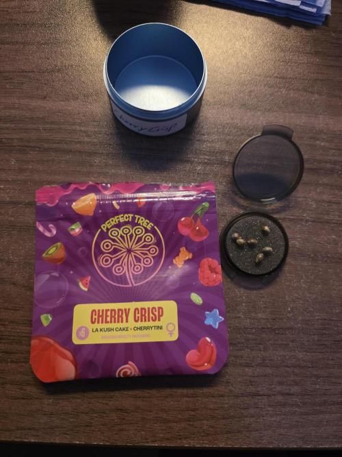 🌲🍒Cherry Crisp (Voting Winner). Week 0