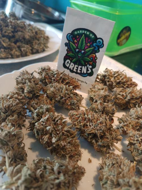 Kushmints + Georgia Pie. Week 13