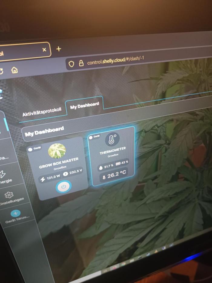 KushmintZ CloneZ / Zpeedrun. Week 6