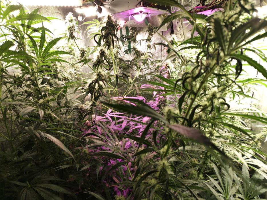 No name Auto. Week 9 - 17.11.25 week 9