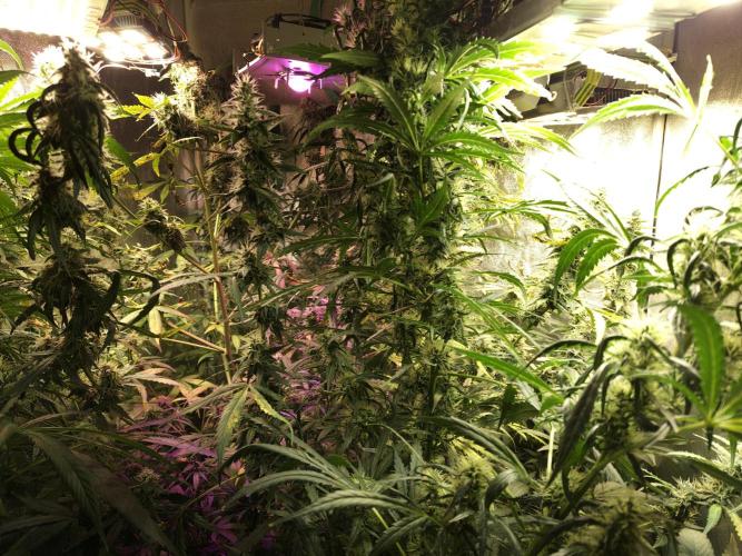 Jock Horror Auto. Week 10 - 26.11.25