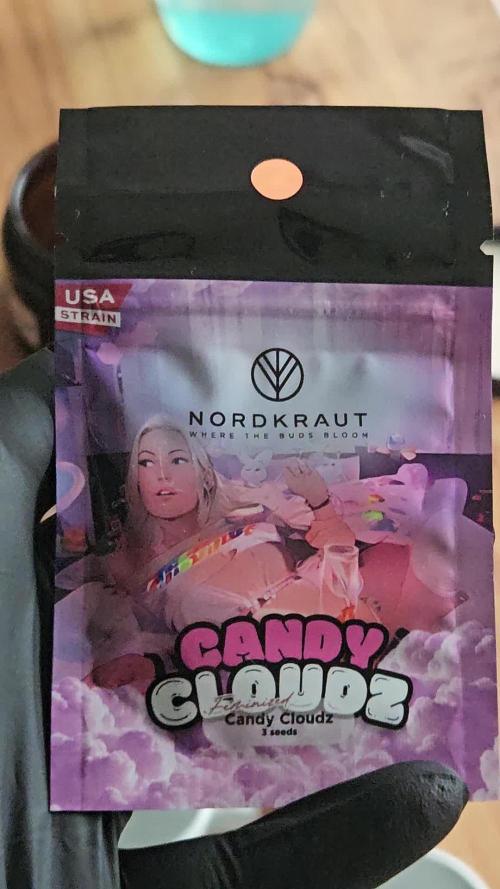 Candy Clouds - Nordkraut
