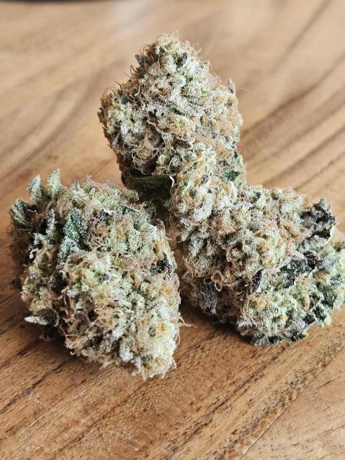 Bohemian Raspberry #1 - Dopeseeds. Week 14