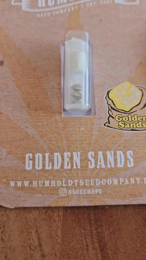 Honeycomp Pave - Compound - Winter Grow