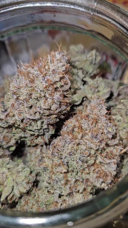 Midnight Lemonade - HNNY HMP