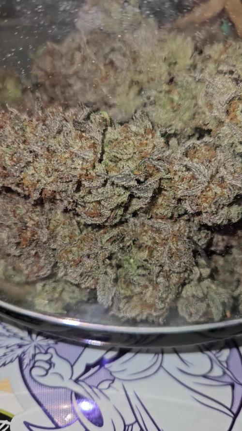 Candy Clouds - Nordkraut