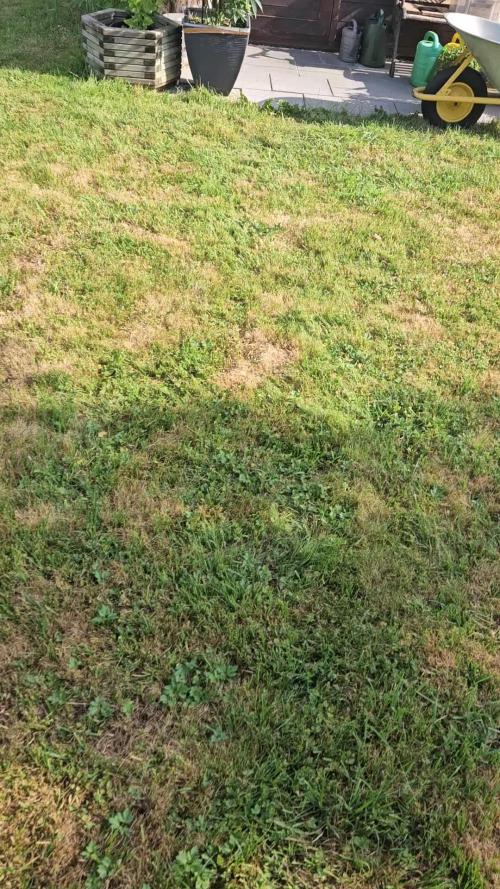 Slushberry Mintz - Outdoor vs Indoor